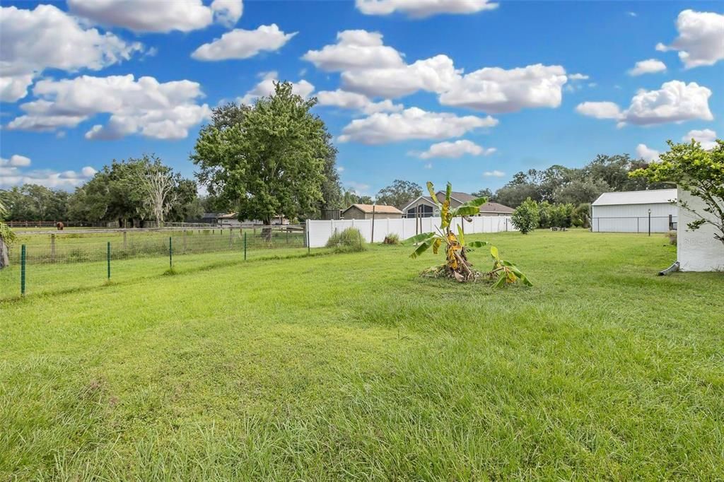 Backyard, Exterior