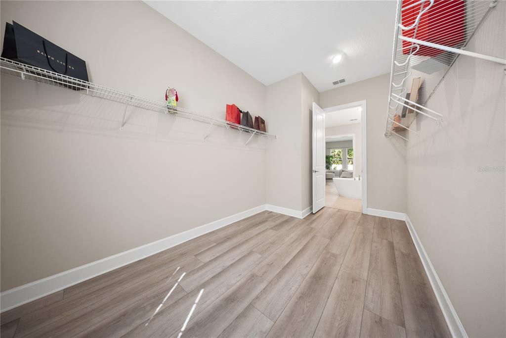 Interior, Recessed Lighting, Walk-in Closets, Wood Texture Flooring