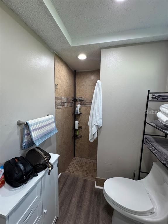 Bathroom, Interior, Recessed Lighting, Wood Texture Flooring