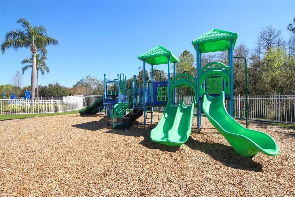 Backyard, Exterior, Playground