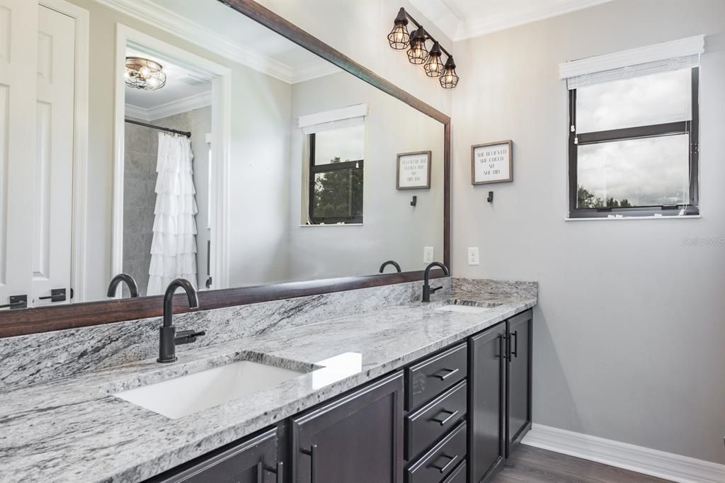 Bathroom, Dual Sink Vanities, Interior, Wood Texture Flooring
