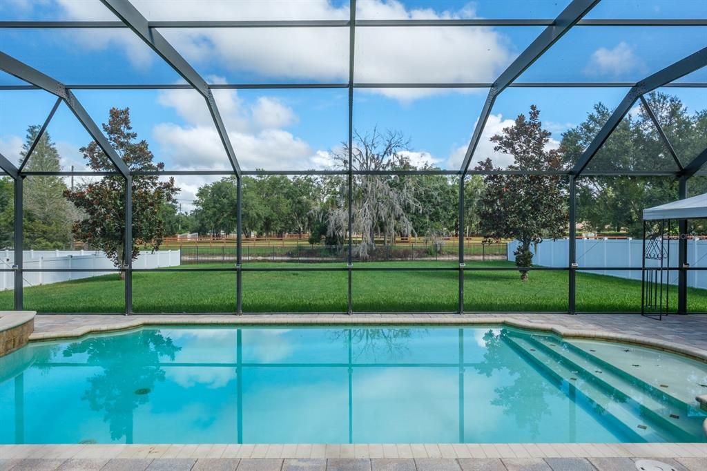 Glass Ceilings, Interior, Pool, Sun Room