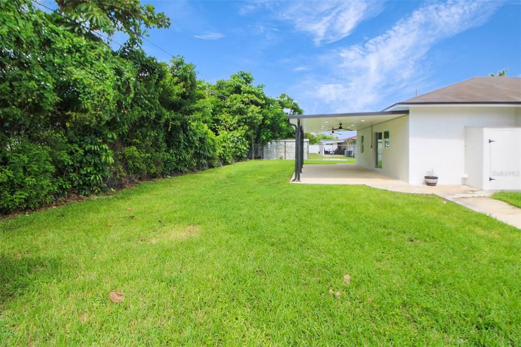 Backyard, Exterior