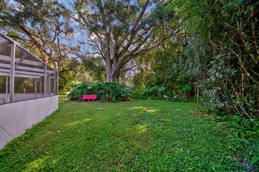 Backyard, Exterior