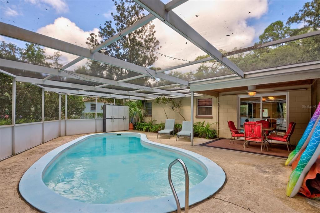 Glass Ceilings, Interior, Pool, Sun Room