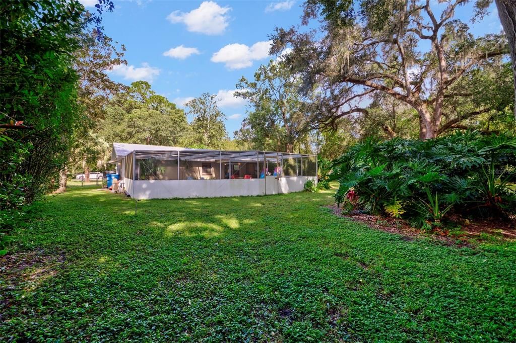Backyard, Exterior