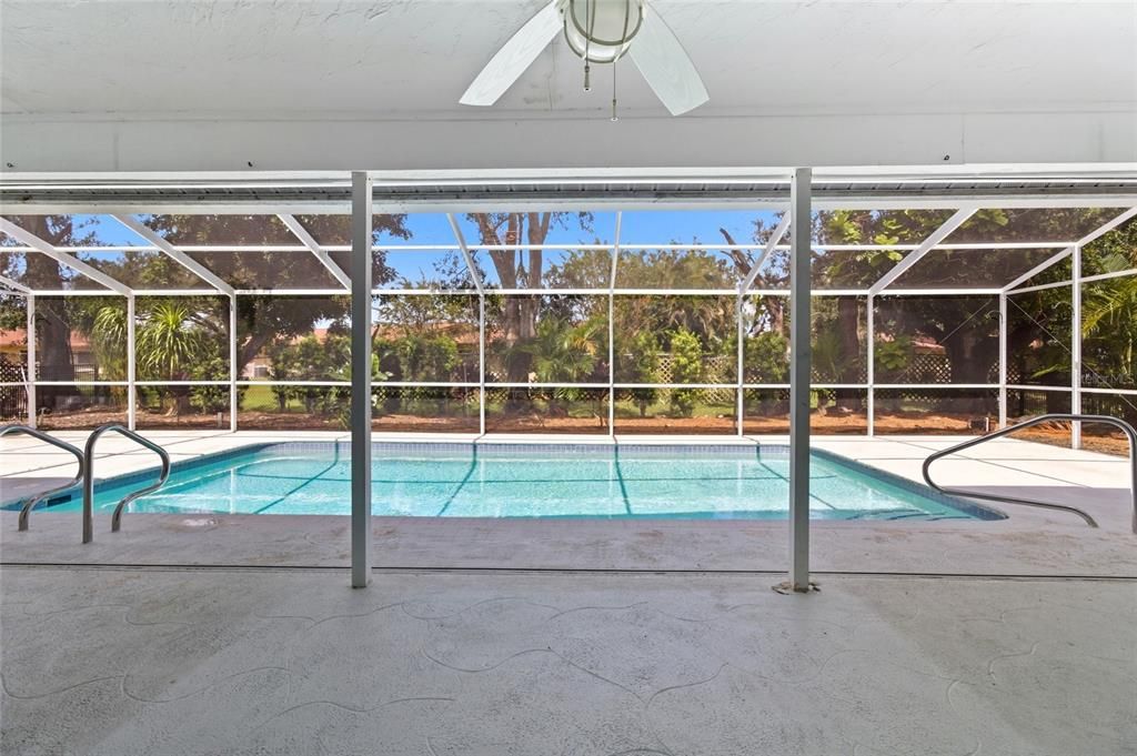 Glass Ceilings, Interior, Pool, Sun Room