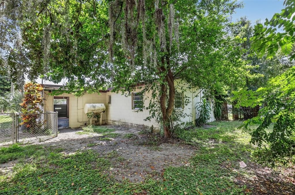 Backyard, Exterior