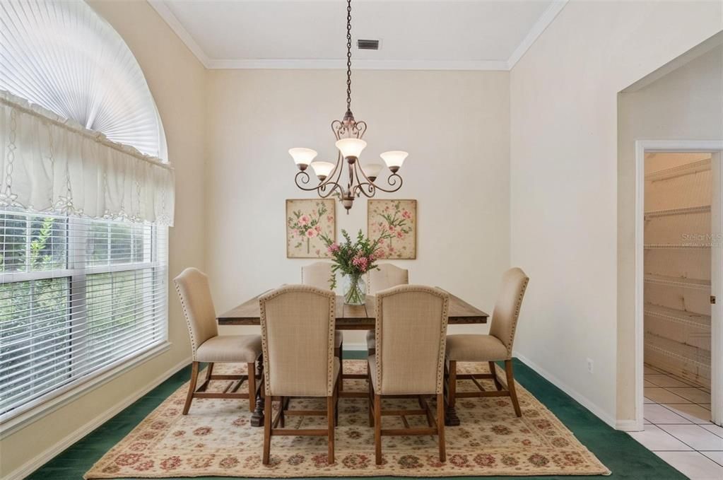 Chandelier, Dining room, Interior