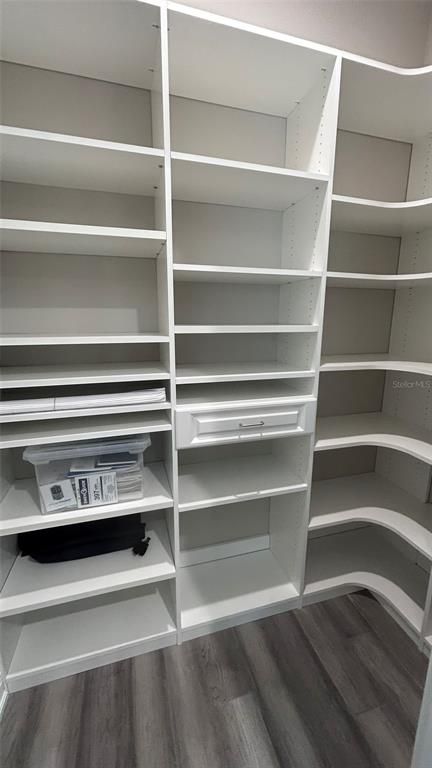 Interior, Walk-in Closets, Wood Texture Flooring