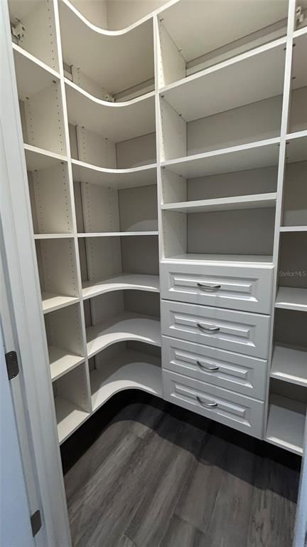 Interior, Walk-in Closets, Wood Texture Flooring