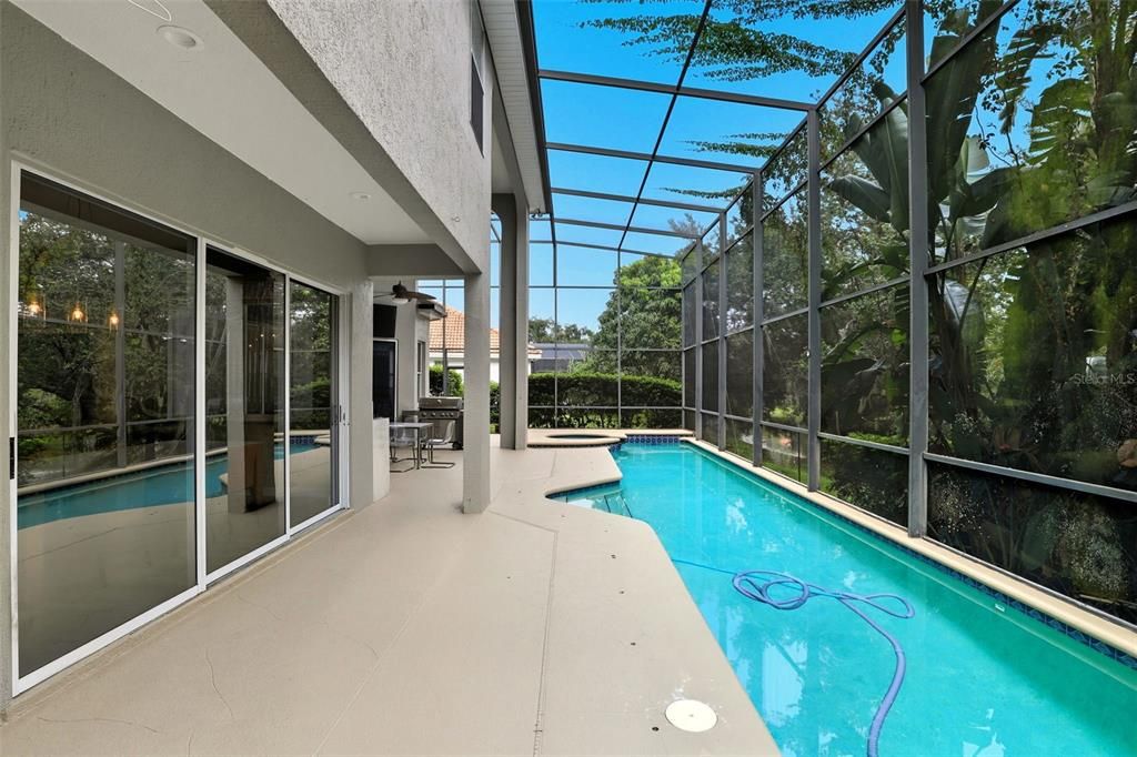 Glass Ceilings, Interior, Pool, Sun Room