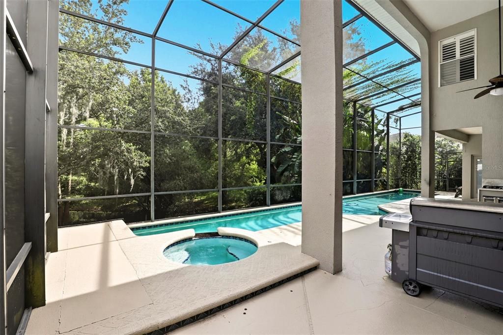Glass Ceilings, Interior, Pool, Sun Room
