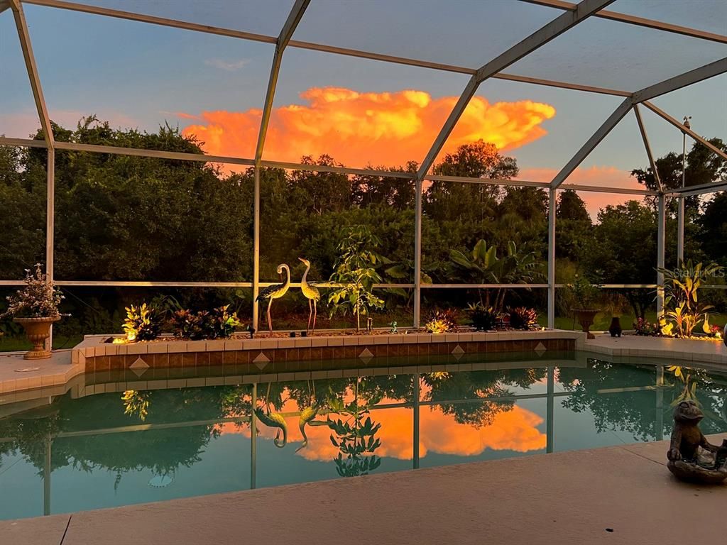 Glass Ceilings, Interior, Pool, Sun Room