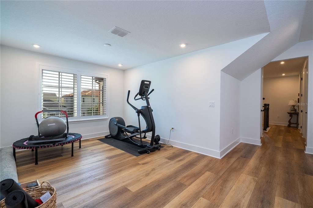 Fitness Equipment, Interior, Recessed Lighting, Wood Texture Flooring