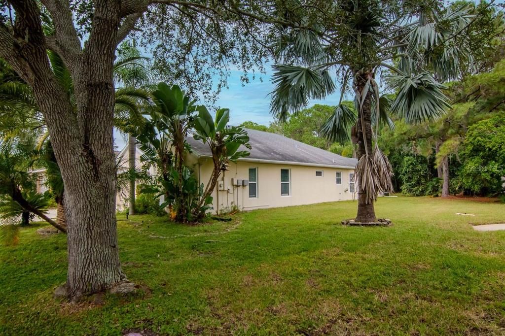 Backyard, Exterior