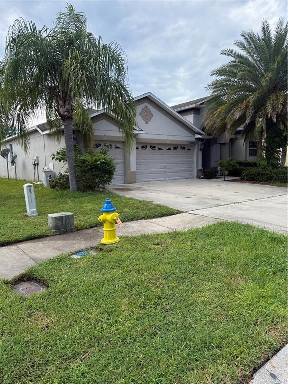 Backyard, Detached Garage, Exterior
