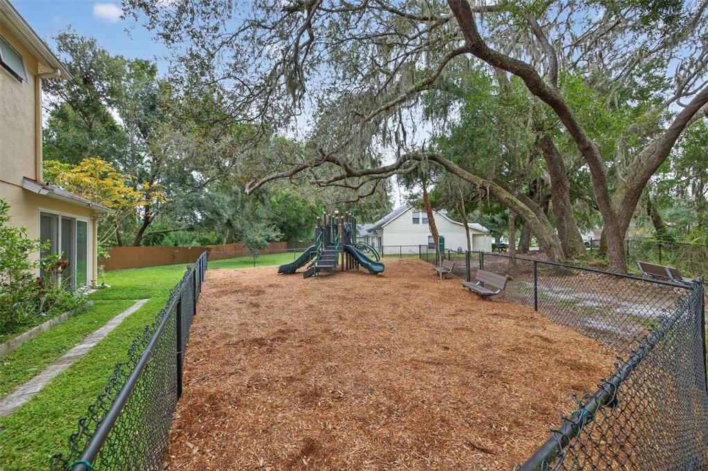 Backyard, Exterior, Playground