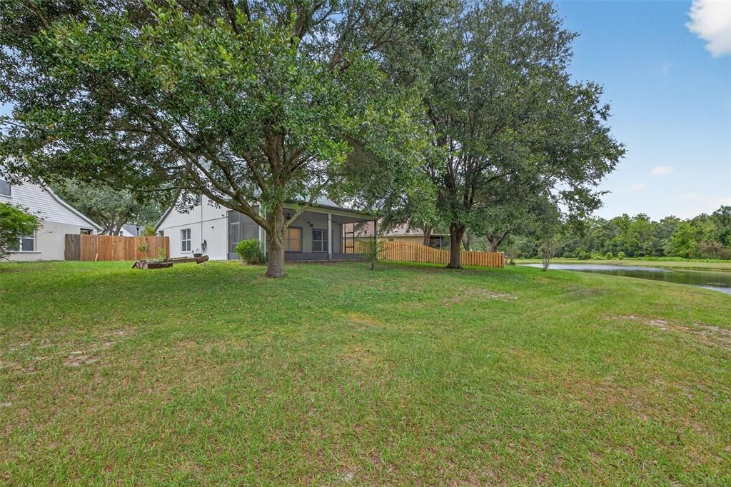 Backyard, Exterior, Water