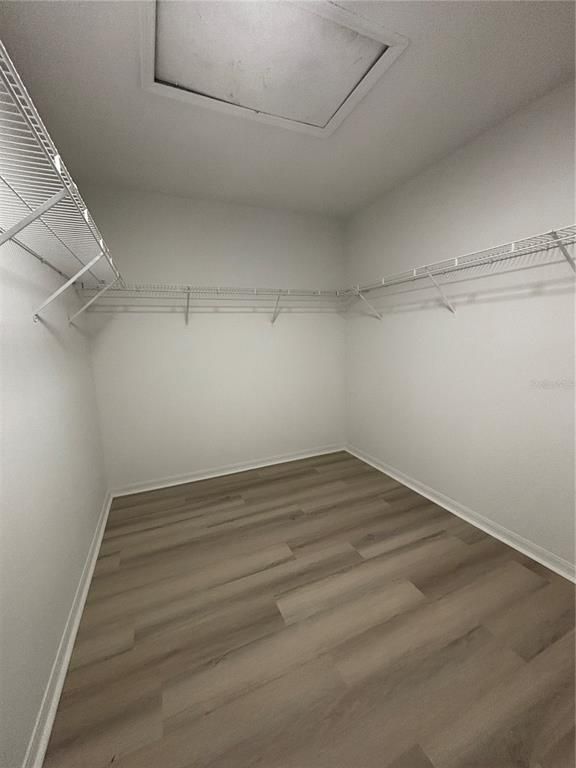 Interior, Walk-in Closets, Wood Texture Flooring