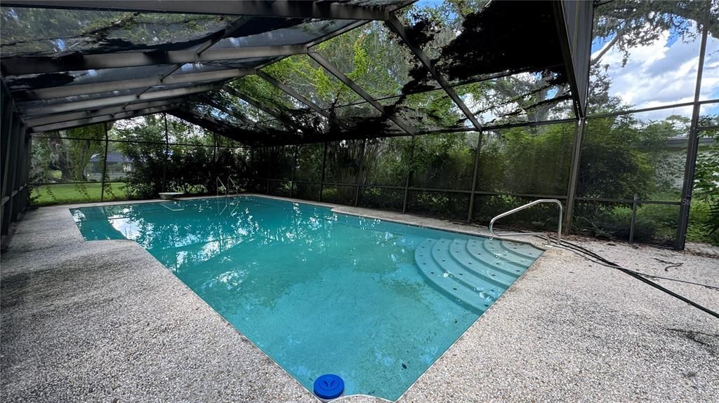 Glass Ceilings, Interior, Pool, Sun Room