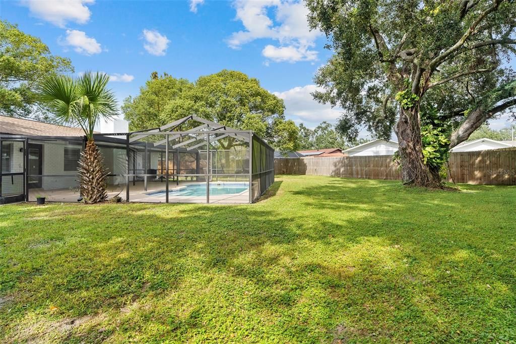 Backyard, Exterior, Pool