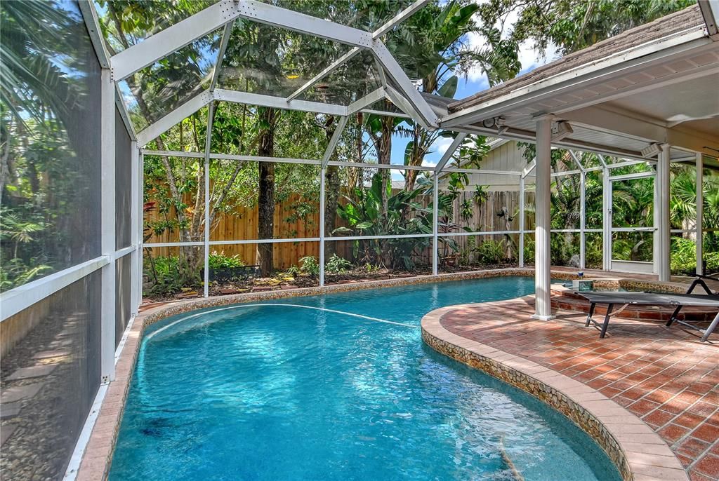 Glass Ceilings, Interior, Pool, Sun Room