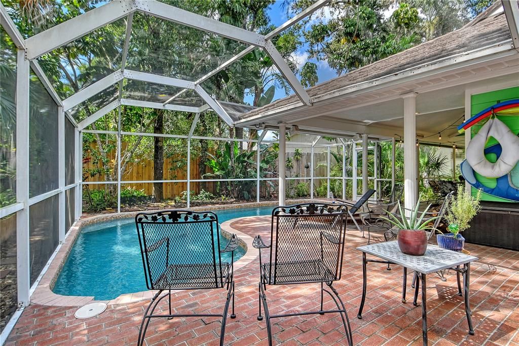 Glass Ceilings, Interior, Pool, Sun Room