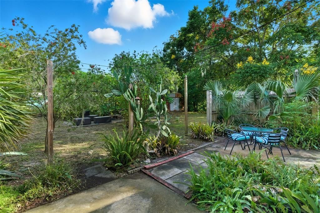 Backyard, Exterior