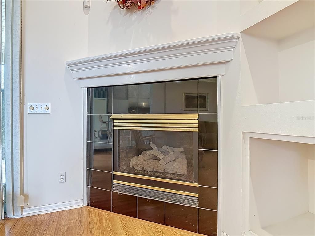 Fireplace, Interior, Wood Texture Flooring