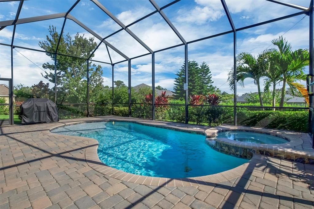 Glass Ceilings, Interior, Pool, Sun Room