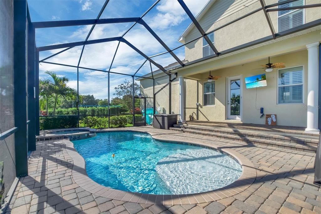 Glass Ceilings, Interior, Pool, Sun Room