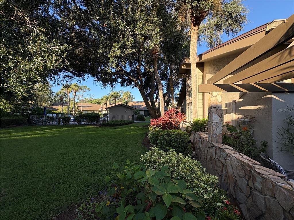Backyard, Exterior