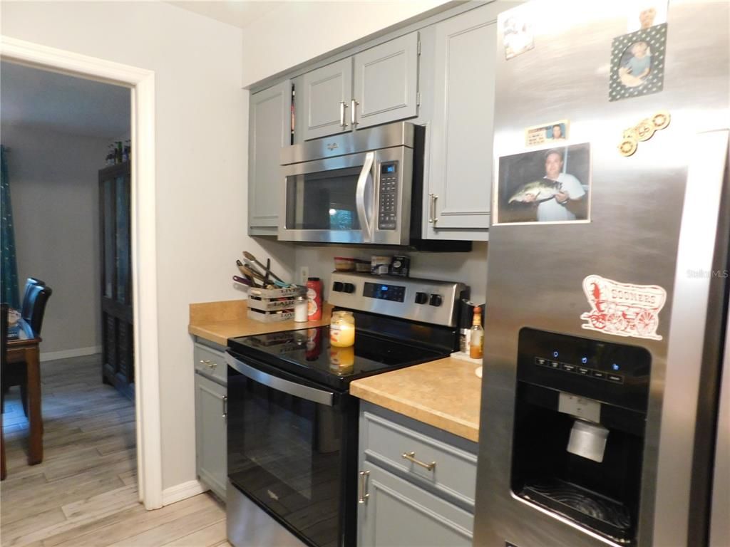 Interior, Kitchen, Stainless Steel Appliances, Wood Texture Flooring