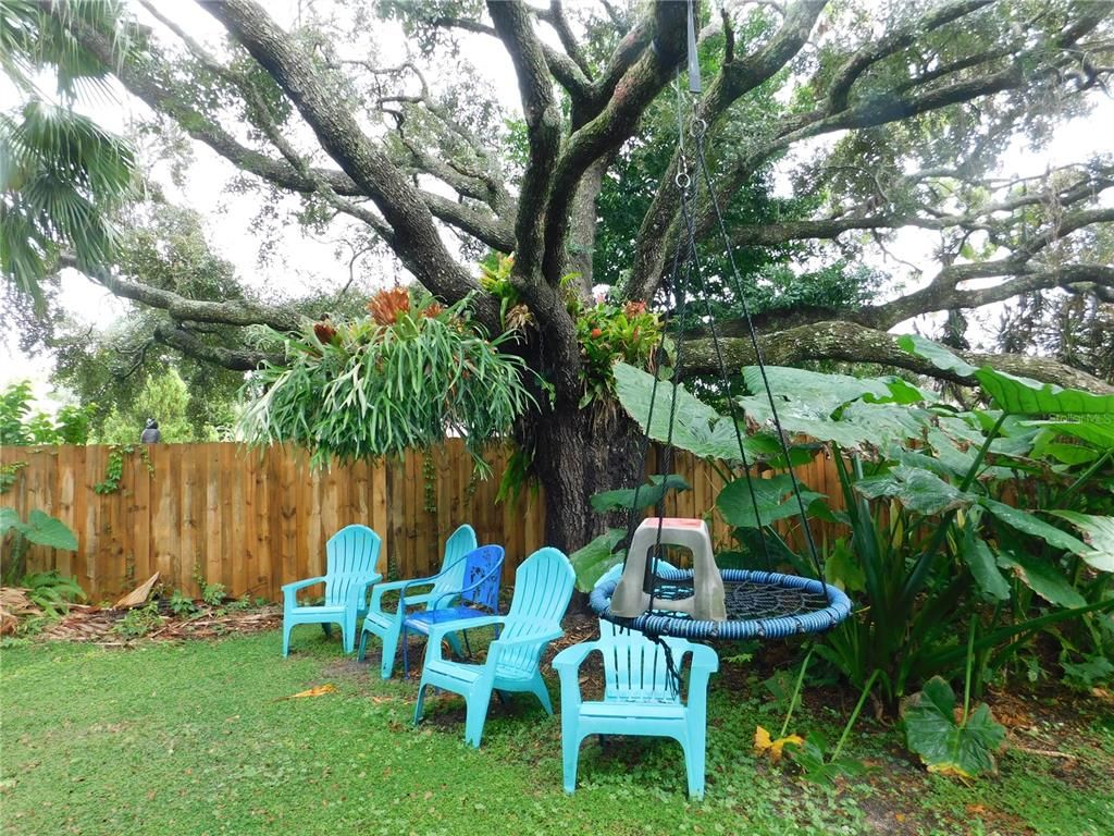 Backyard, Exterior