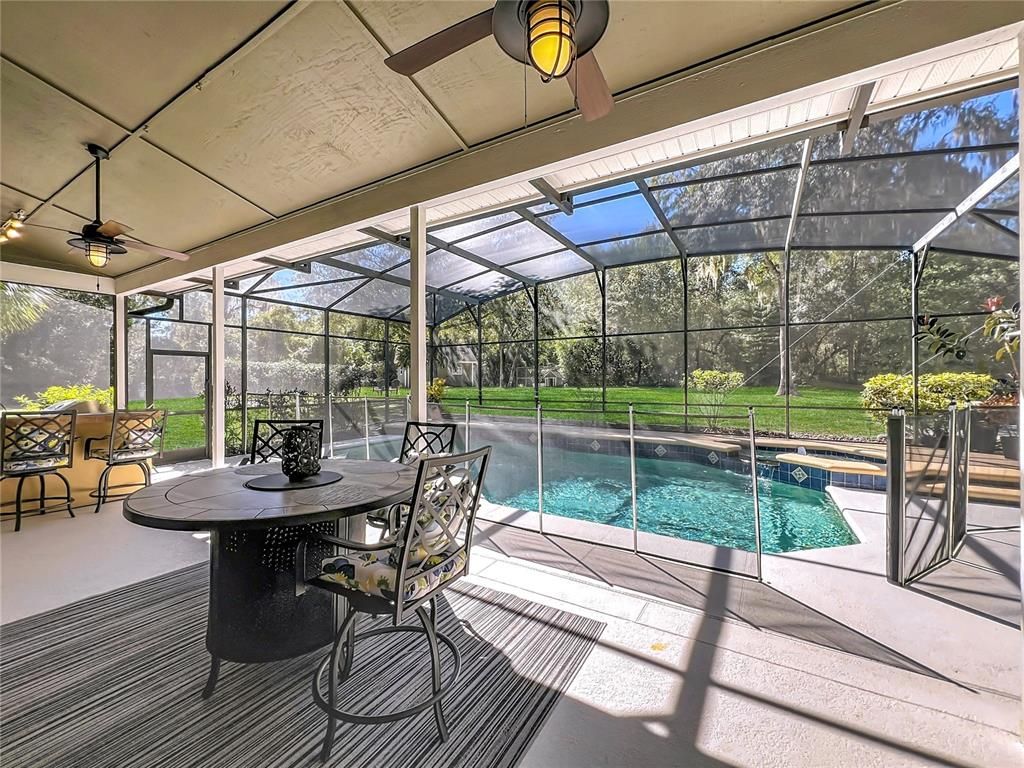 Glass Ceilings, Interior, Pool, Sun Room