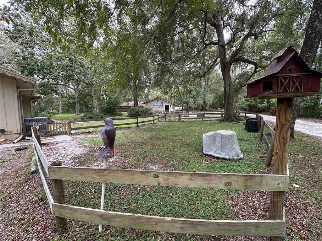 Backyard, Exterior