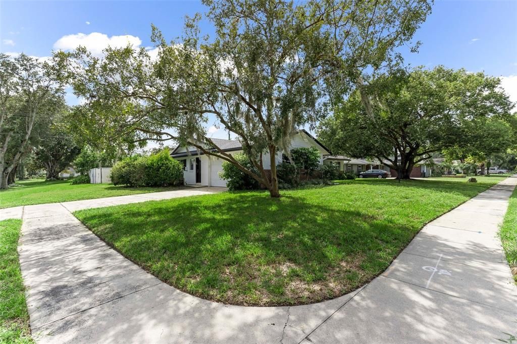 Backyard, Exterior