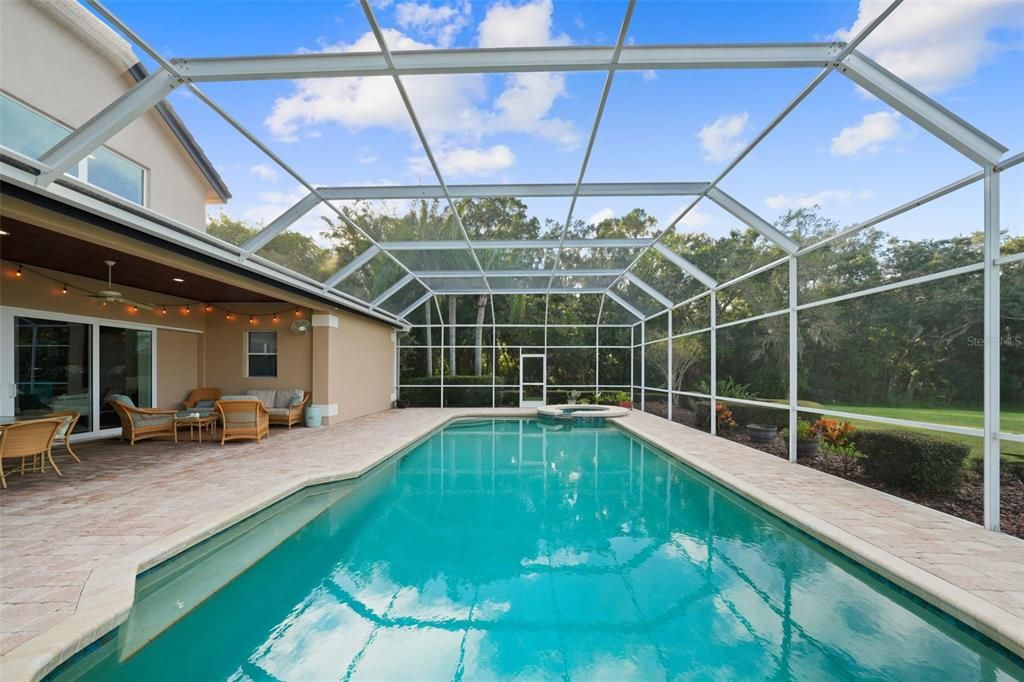 Glass Ceilings, Interior, Pool, Sun Room