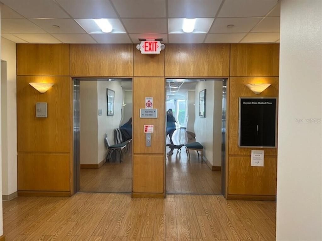 Interior, Wood Texture Flooring, Wooden Walls