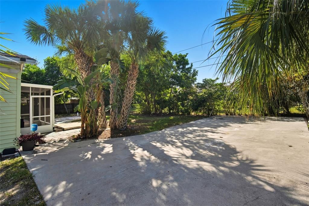 Backyard, Exterior