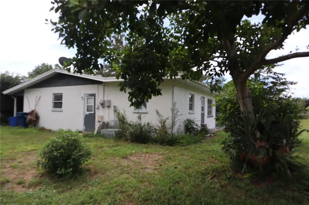 Backyard, Exterior