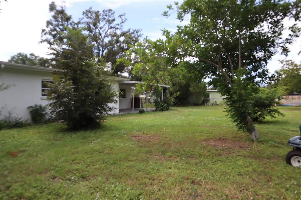 Backyard, Exterior
