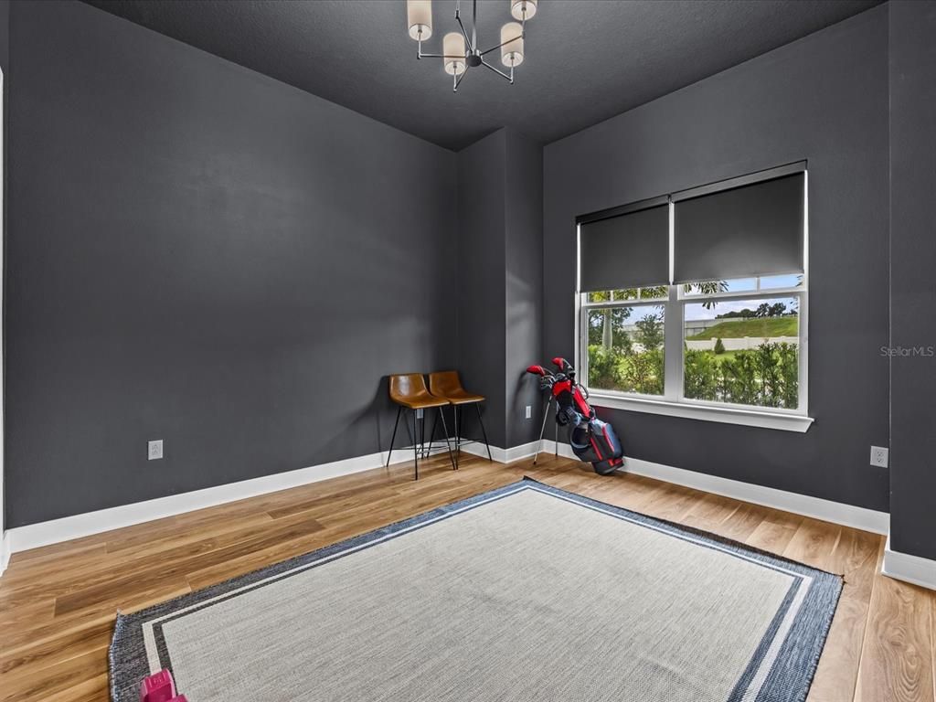 Chandelier, Interior, Wood Texture Flooring
