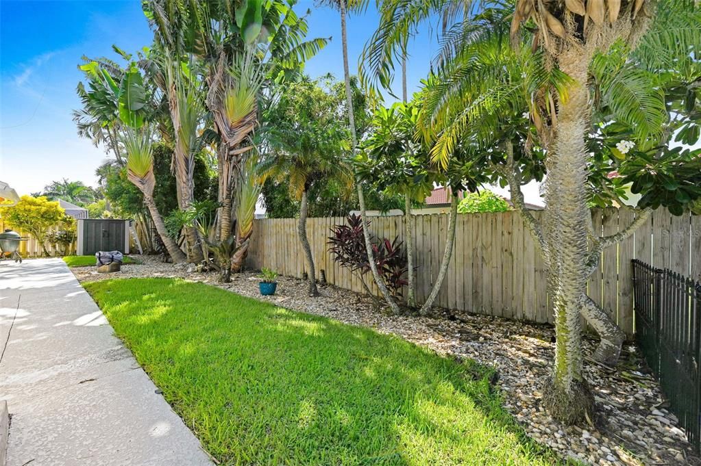 Backyard, Exterior