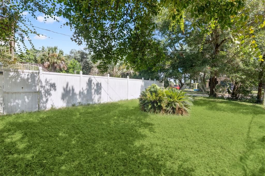 Backyard, Exterior