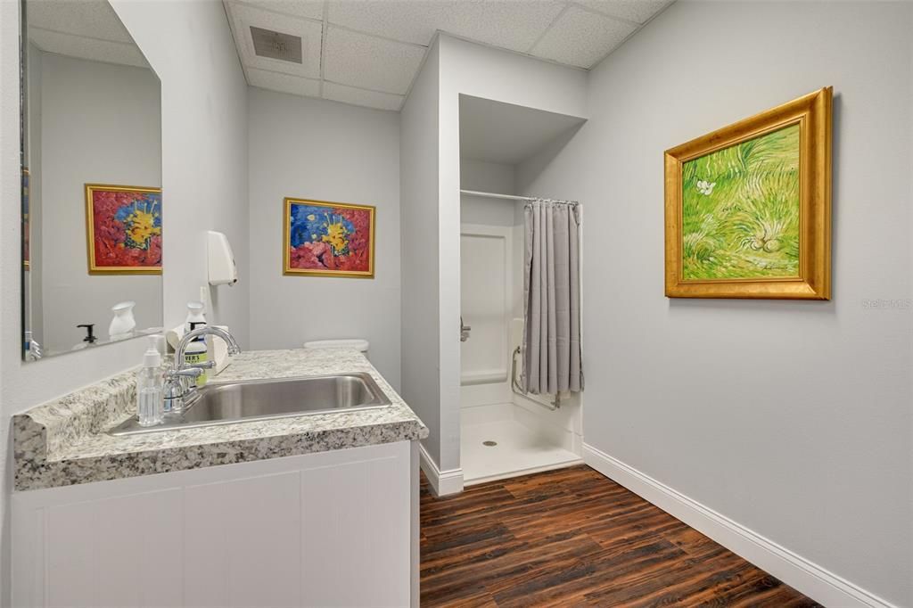 Bathroom, Interior, Wood Texture Flooring