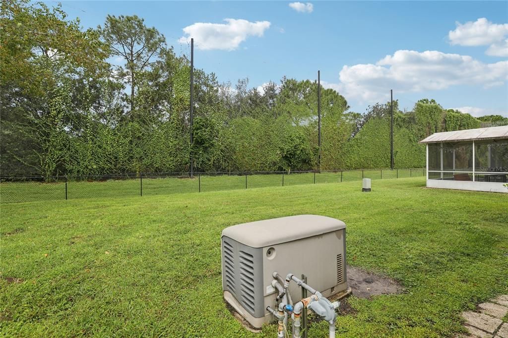 Backyard, Exterior