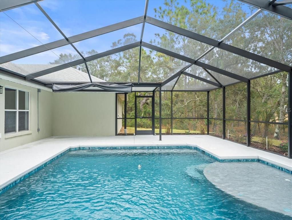 Glass Ceilings, Interior, Pool, Sun Room