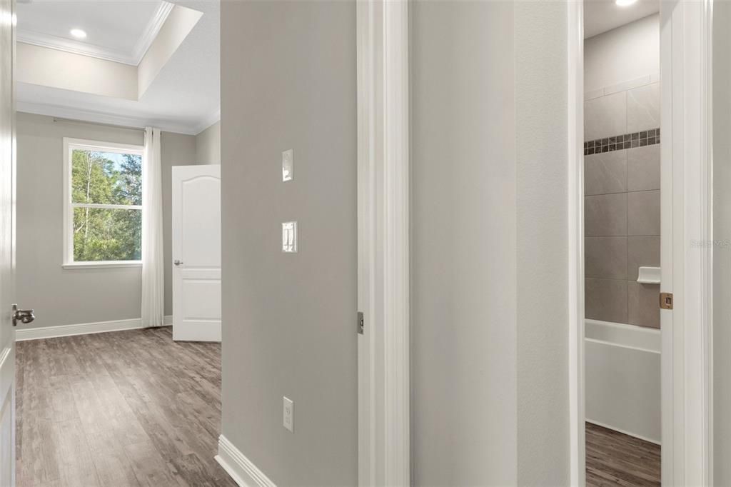 Interior, Recessed Lighting, Wood Texture Flooring